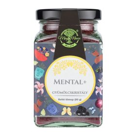 MagMaxx Mental+ gyümölcskristály 90g
