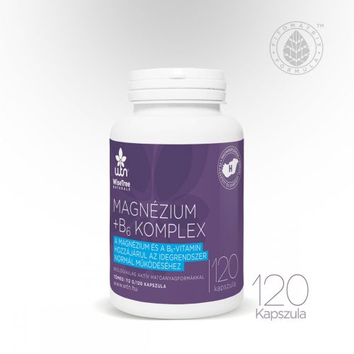 wtn Magnézium + B6-vitamin komplex 120 db 