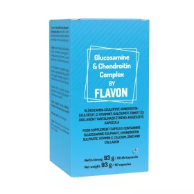 Flavon Glucosamine & Chondroitin komplex 90 db