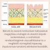 Napfényvitamin ReVital Skin & Body bőrvédő kapszula 30 db
