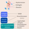 Napfényvitamin ReVital Skin & Body bőrvédő kapszula 30 db