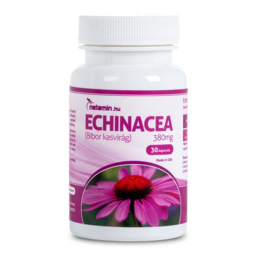 Netamin Echinacea 380mg kapszula (Bíbor Kasvirág) 30 db