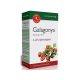 Interherb Galagonya Extraktum 60 db