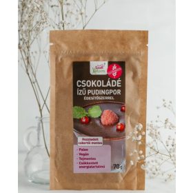 Szafi Reform Csokoládé ízű pudingpor 70g