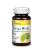 Vitaking Ginkgo Biloba kivonat 60 mg - 90 db