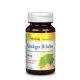 Vitaking Ginkgo Biloba kivonat 60 mg - 90 db