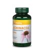 Vitaking Echinacea, bíbor kasvirág kivonat 250 mg - 90 db