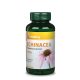 Vitaking Echinacea, bíbor kasvirág kivonat 250 mg - 90 db