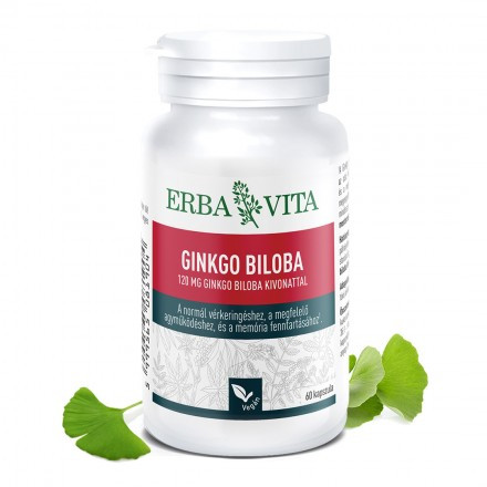 ErbaVita Mikronizált Ginkgo biloba, Páfrányfenyő tabletta 60 db
