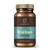 Myrobalan BioXan kiegyensúlyozó gyógynövény kapszula 60 db
