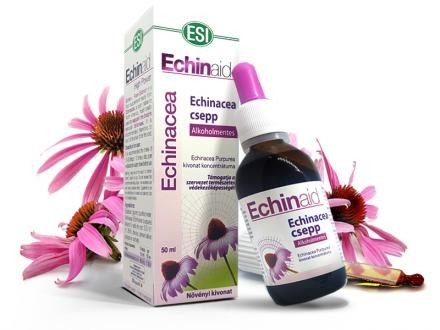 ESI Echinaid Alkoholmentes Immunerősítő Echinacea csepp 50 ml