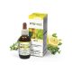 ErbaVita® FitoTree Baktériumölő, fertőtlenítő olaj 30 ml