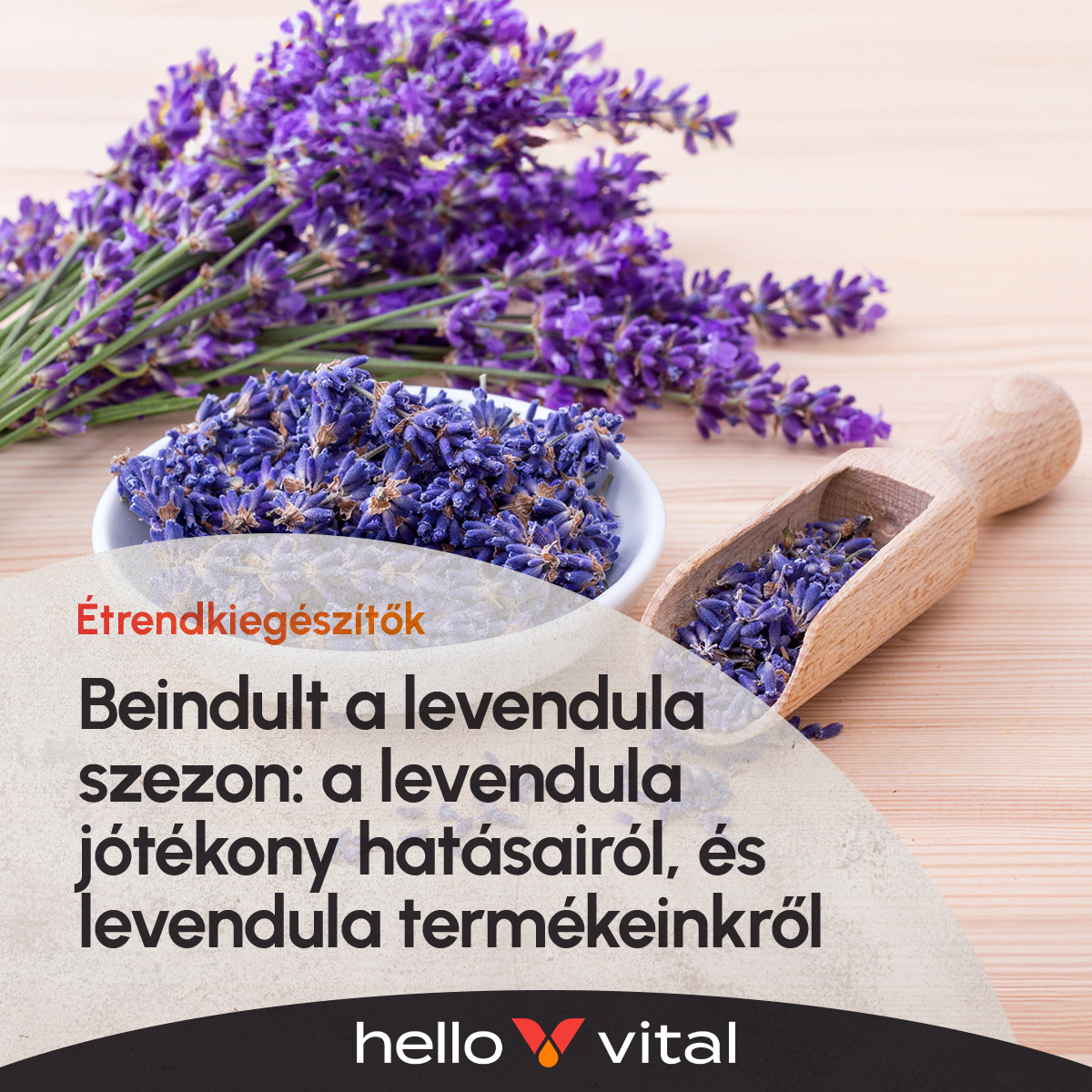 Itt a nyár, és beindult a levendula szezon! De vajon miért ekkora a hype a levendula körül?